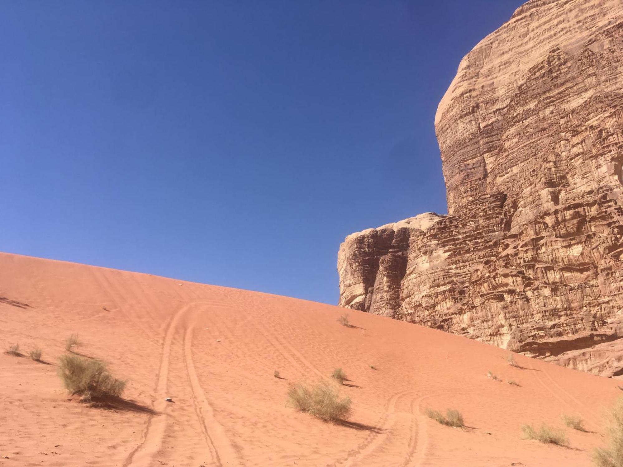 Wild Of Wadi Rum Hotel Exterior foto