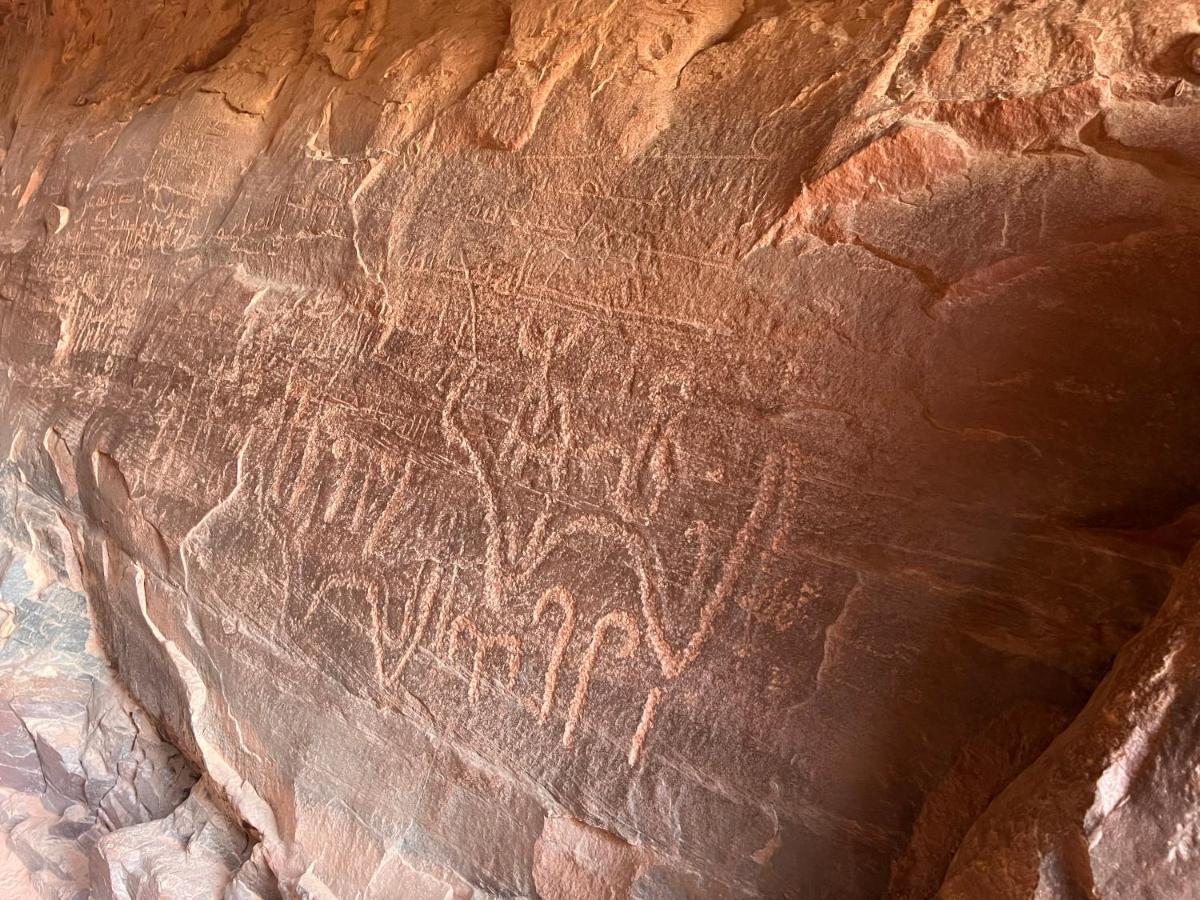 Wild Of Wadi Rum Hotel Exterior foto