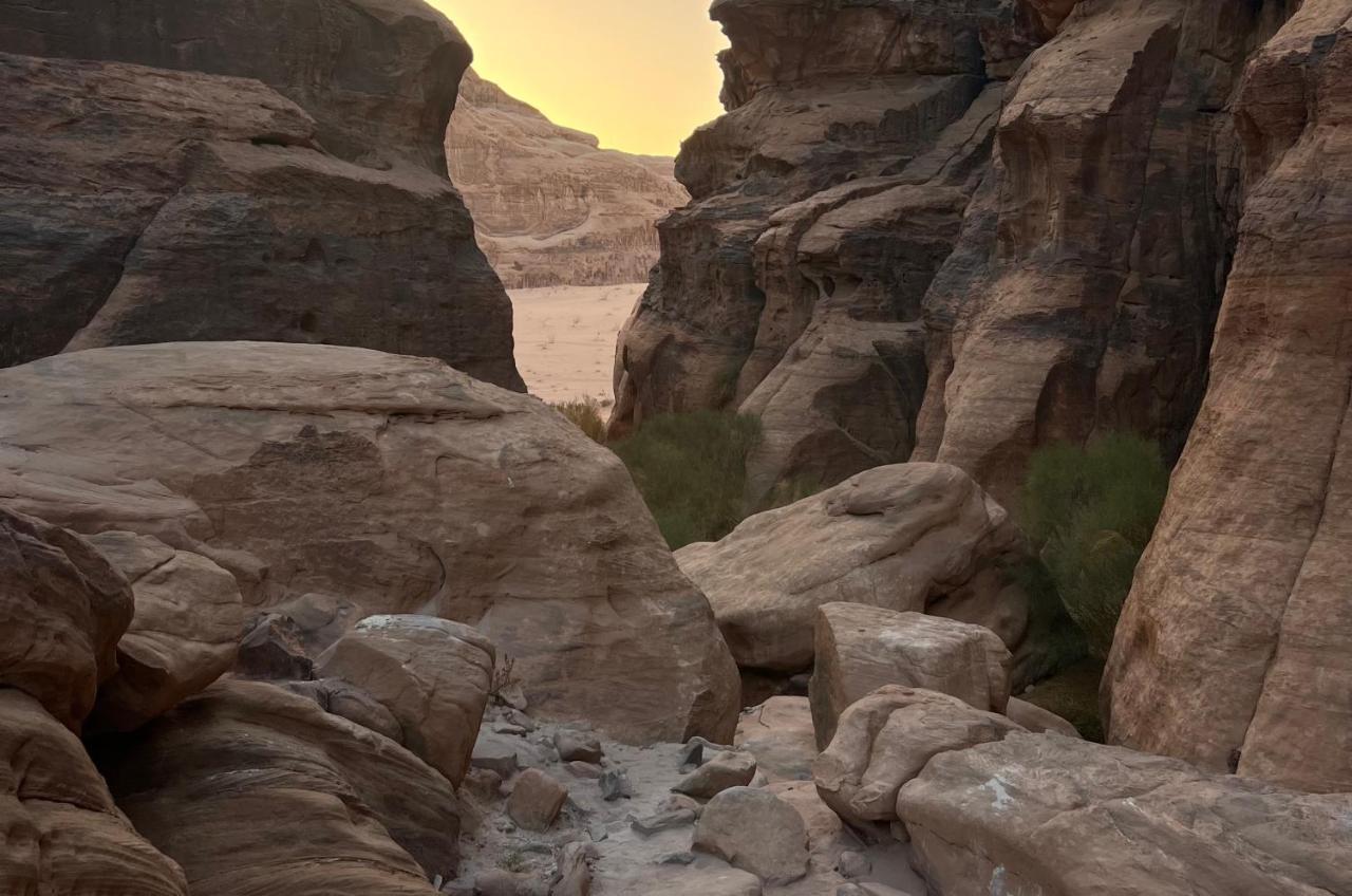 Wild Of Wadi Rum Hotel Exterior foto