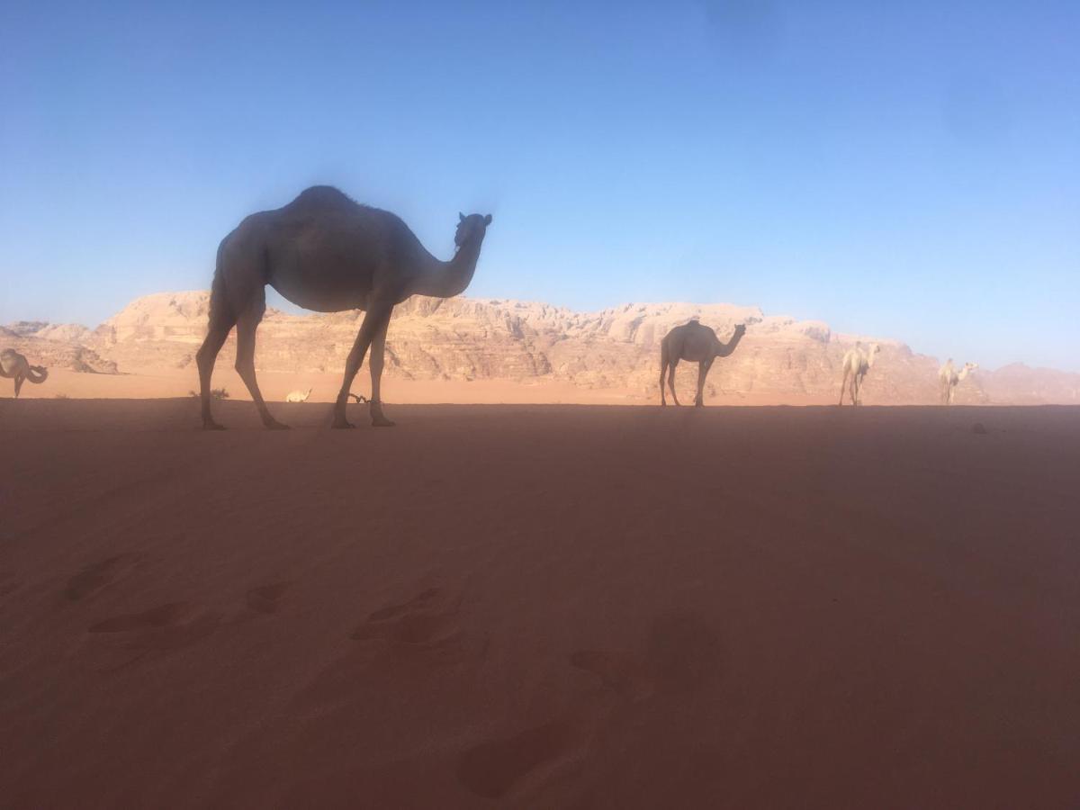 Wild Of Wadi Rum Hotel Exterior foto