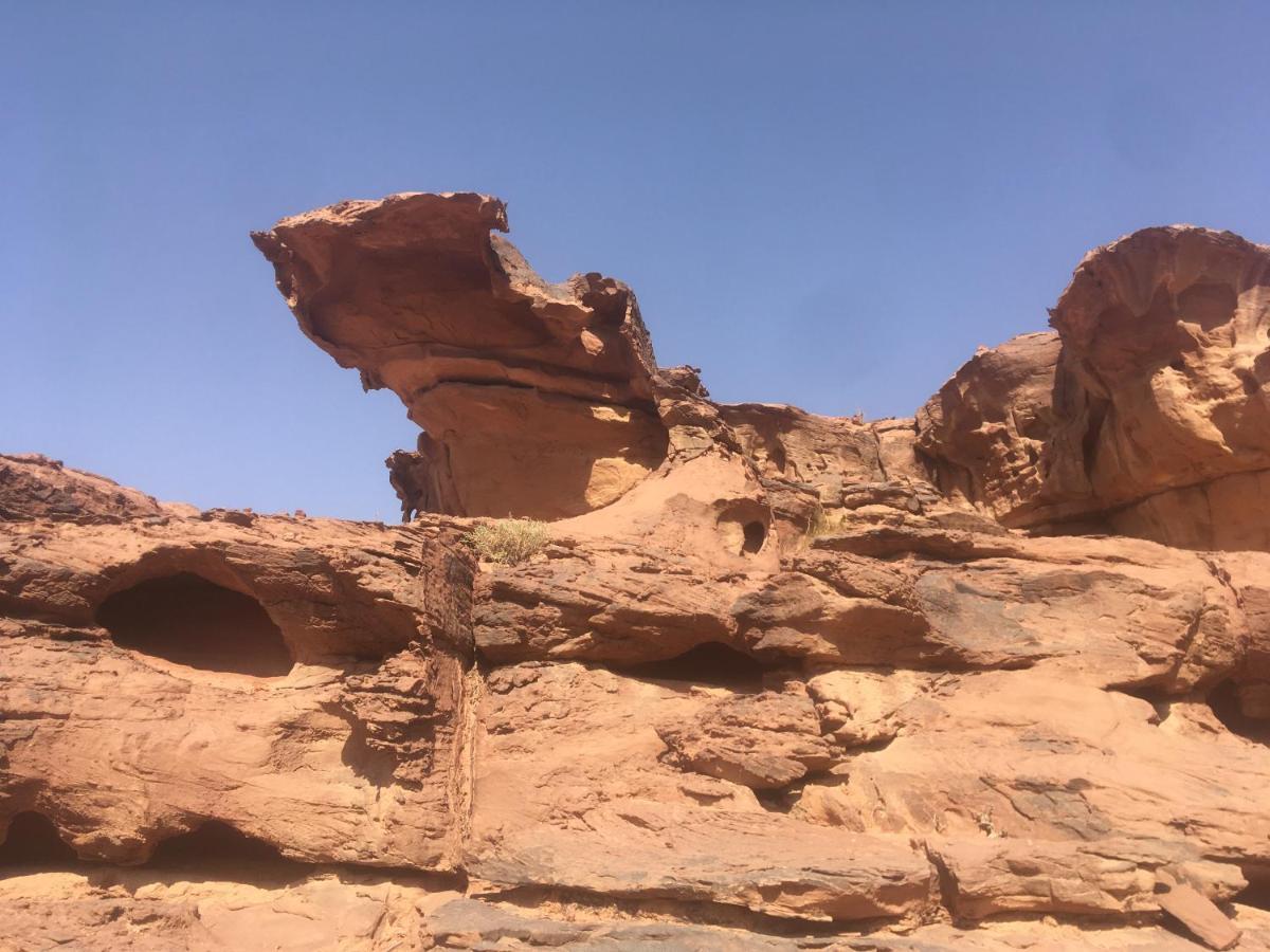 Wild Of Wadi Rum Hotel Exterior foto