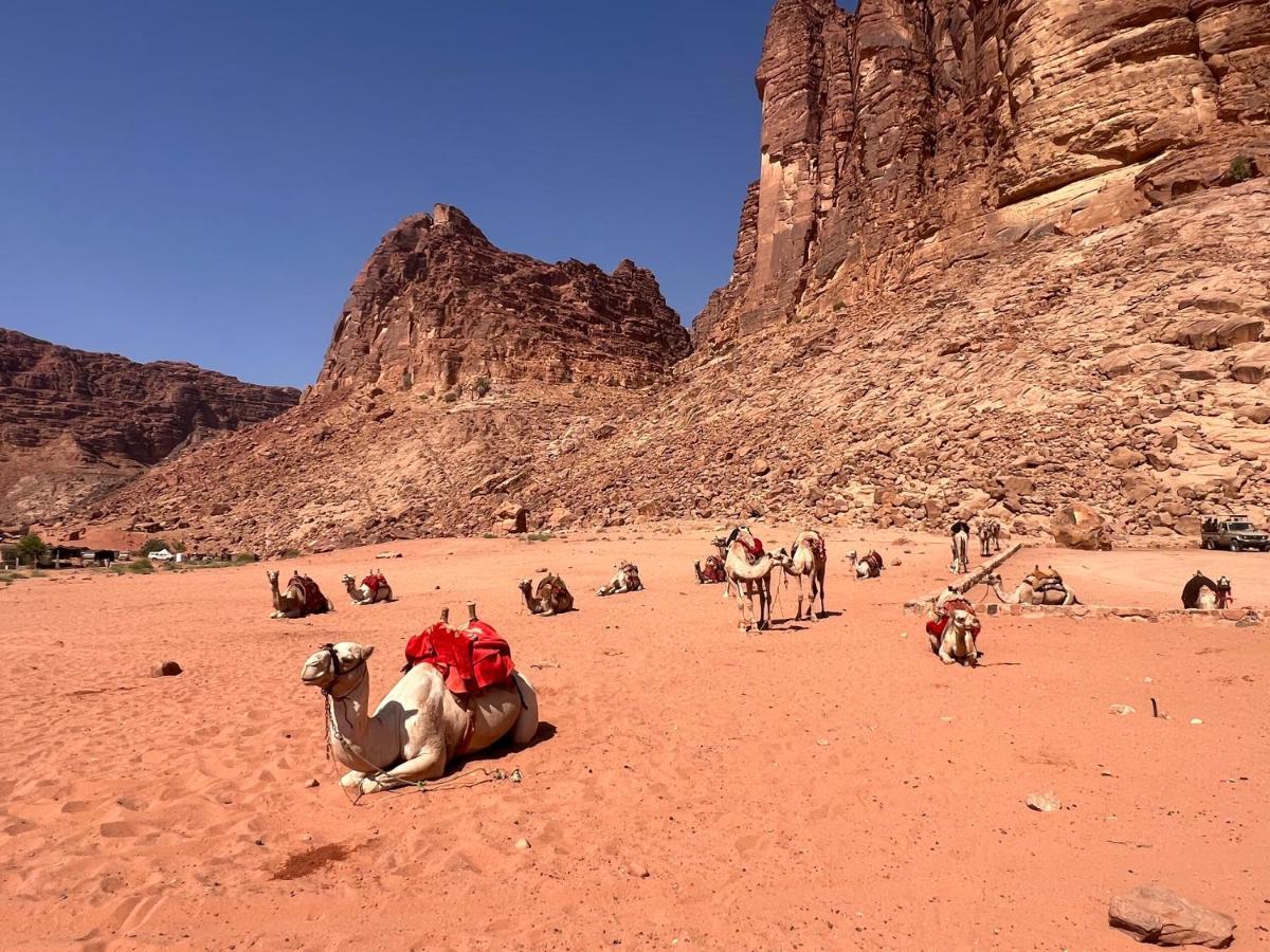 Wild Of Wadi Rum Hotel Exterior foto