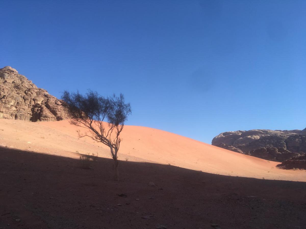 Wild Of Wadi Rum Hotel Exterior foto