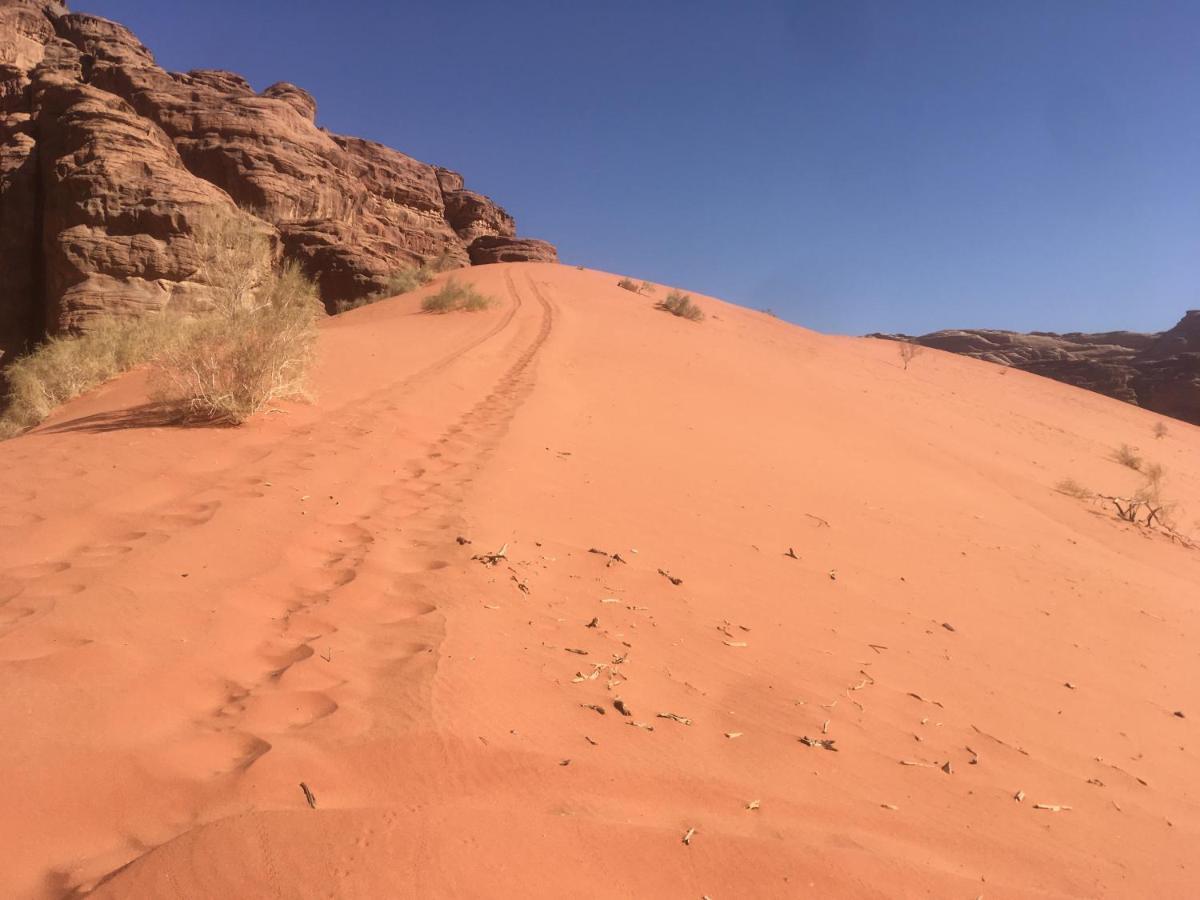 Wild Of Wadi Rum Hotel Exterior foto