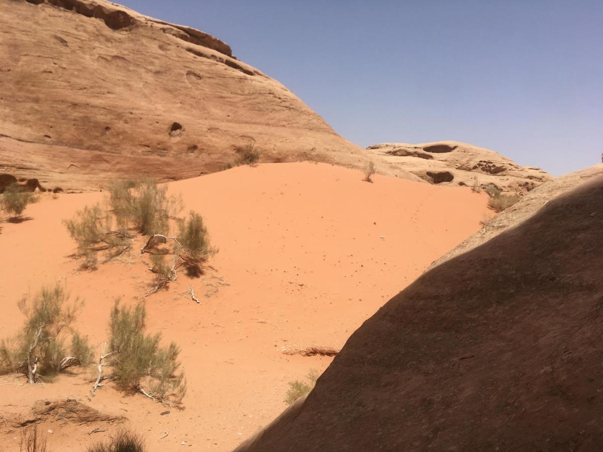 Wild Of Wadi Rum Hotel Exterior foto