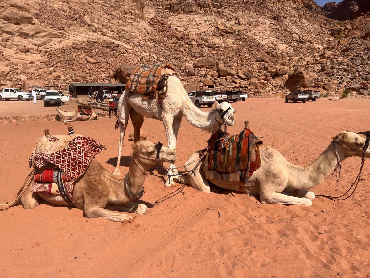 Wild Of Wadi Rum Hotel Exterior foto